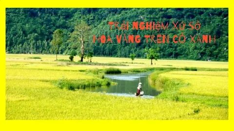 Sự Bùng Nổ Của Video Ngắn và Trí Tuệ Nhân Tạo: Vai Trò Thiết Yếu Của Đào Tạo Kỹ Năng Sáng Tạo Nội Dung_Ứng dụng Hotspot Matrix